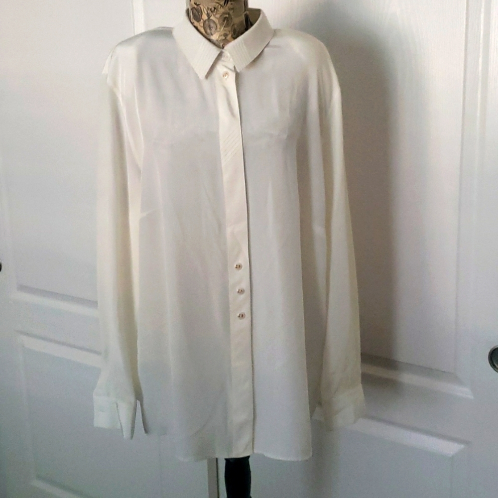 Ladies Dress blouse